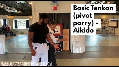 Basic Tenkan (Pivot Parry) - Aikido
