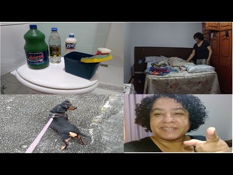 VLOG #59 ROTINA DIÁRIA, OLHEM COMO FOI MINHA MANHÃ-Por Liz Frutuoso