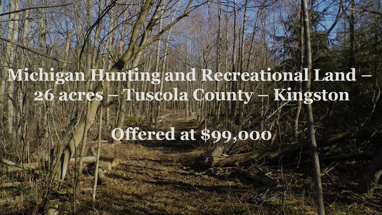 Michigan Hunting and Recreational Land 26 acres Tuscola Call Real Estate Agent 810597
