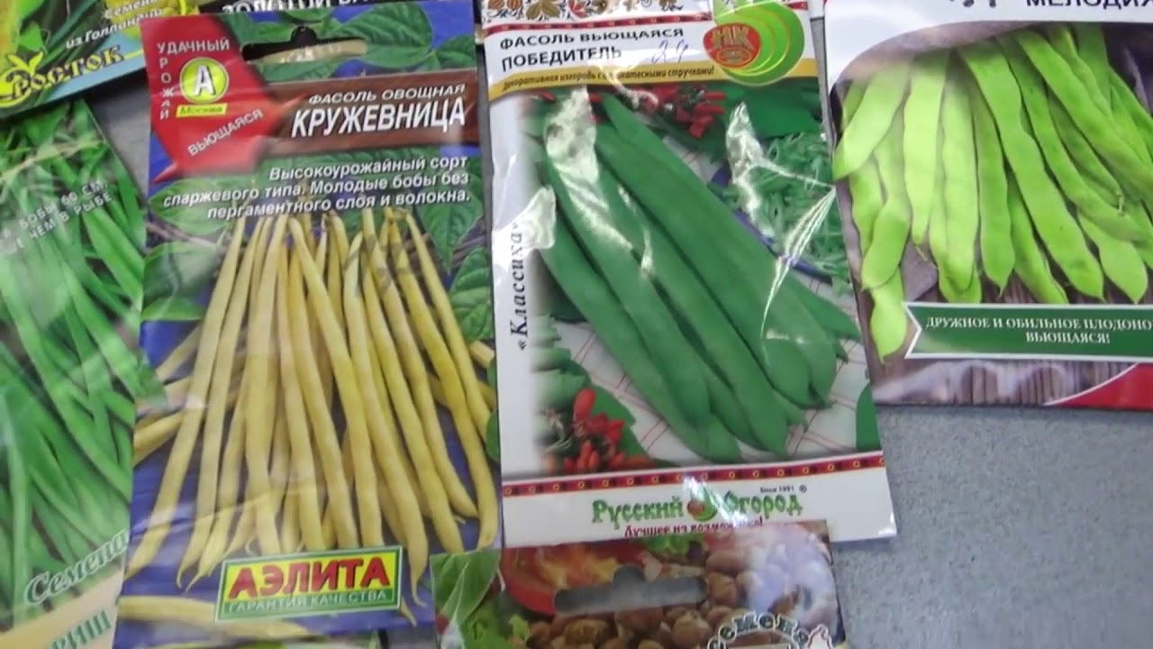 А фасоль какую выбрать?