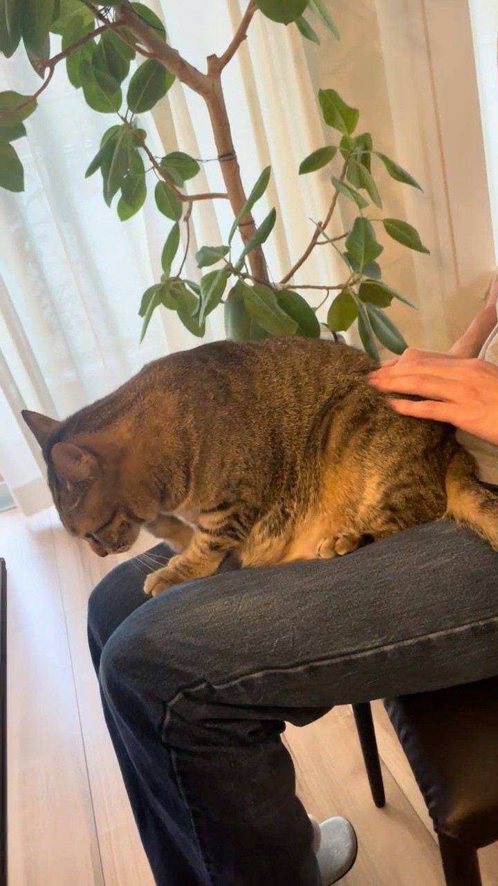 hir0.to.maron♡ 841016155496_1.jpg?v=