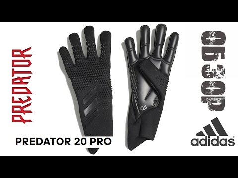 Обзор || Вратарские перчатки Adidas Predator 20 Pro