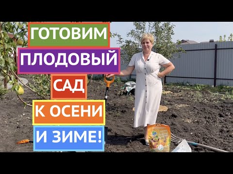 КАК ПОДГОТОВИТЬ ПЛОДОВЫЙ САД К ОСЕНИ И ЗИМЕ!