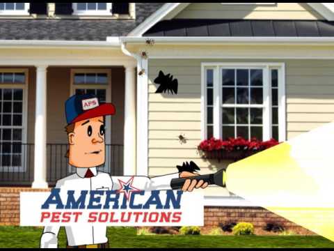 American Pest Solutions