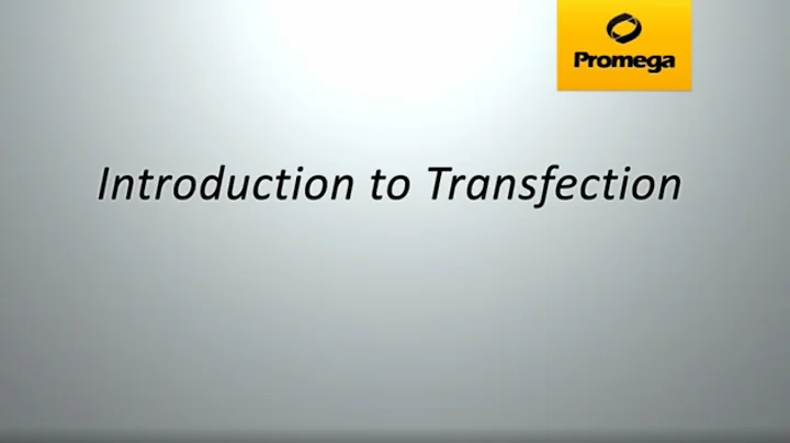 Introduction to Transfection