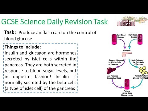 GCSE Science Daily Revision Task 122