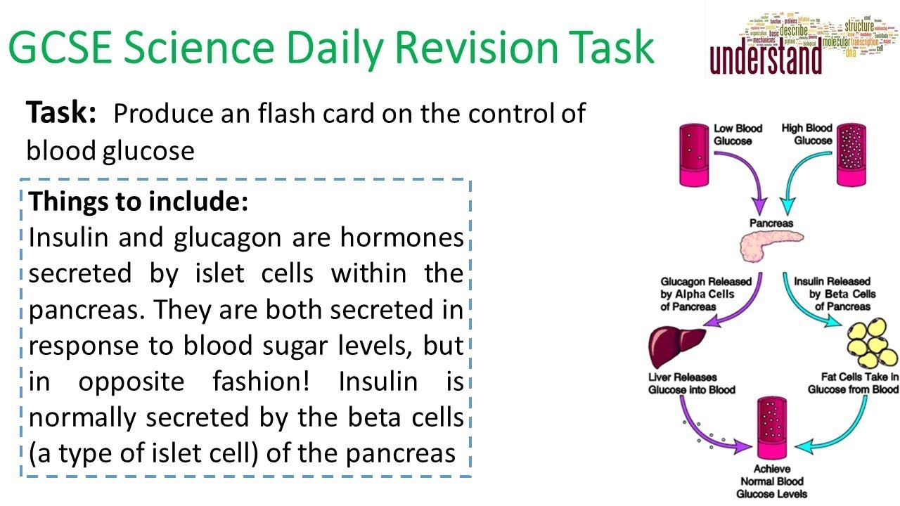 GCSE Science Daily Revision Task 122 - YouTube