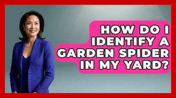 How Do I Identify A Garden Spider In My Yard? - Insects and Invaders