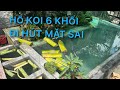 HỒ KOI 6 KHỐI - đi ống hút mặt bị sai || Cá Koi Vlog Trần Đức Cường