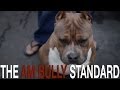 Understanding the American Bully Breed Standard: Key Characteristics and Traits