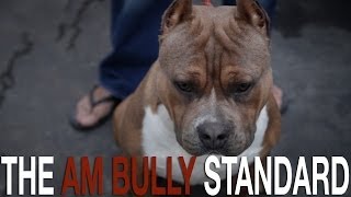 THE AMERICAN BULLY BREED STANDARD