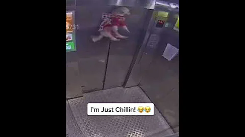 Dog stuck in lift #shorts #funny