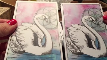 Connected and free, the alchemist oracle 1st and 2ed comparison flip through