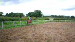 Me & Red flatwork