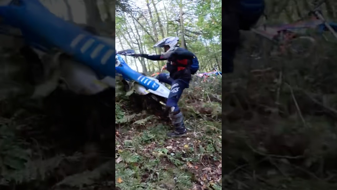 Потрясающий спуск от Тедди! 