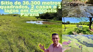 Sítio de 1,5 alqueires/ 3,63 hectares, 2 casas, 2 lagos e ribeirão, em Carlópolis Pr R$ 600.000,00