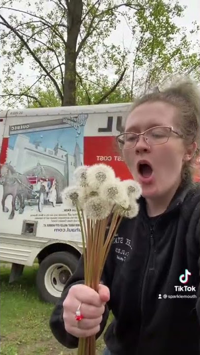 DANDELION LOVE #flowers #dandelions #nature #uhaul #moving #blow #seeds