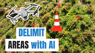 Automatatically delimit areas with Computer Vision and AI