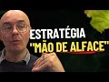 Maximize lucros com a estratgia mo de alface