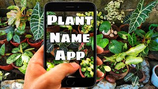 How to Identify Plant Names | BEST Plant ID App Free screenshot 5