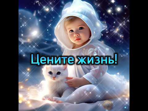 Цените жизнь! #пожелания #жизнь #дар #2024 #котики #красота