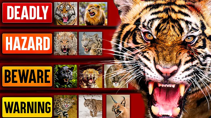 The Deadliest Wild Cats (Tier List) thumbnail
