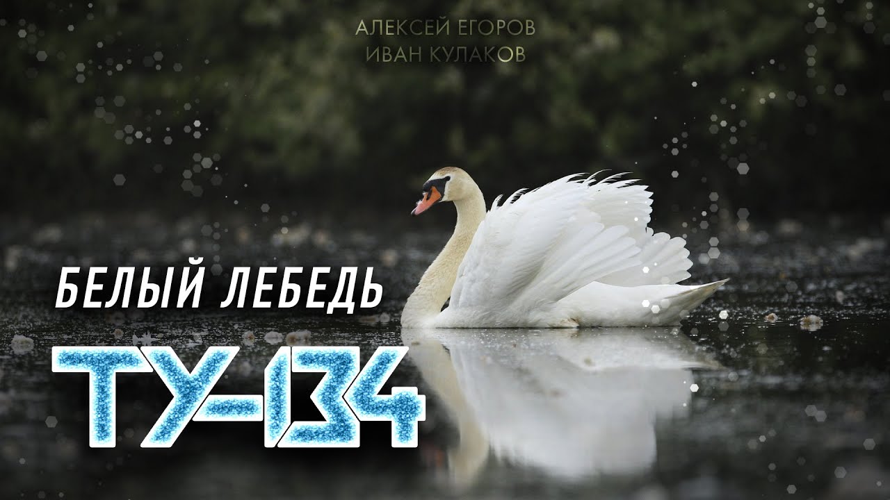 Лебеди песня. Ту 134 белый лебедь. Лебедь белая песня.