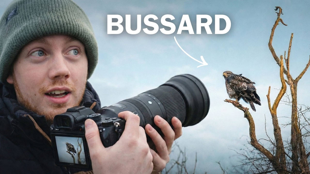 SO NAH an einem wilden Bussard?!