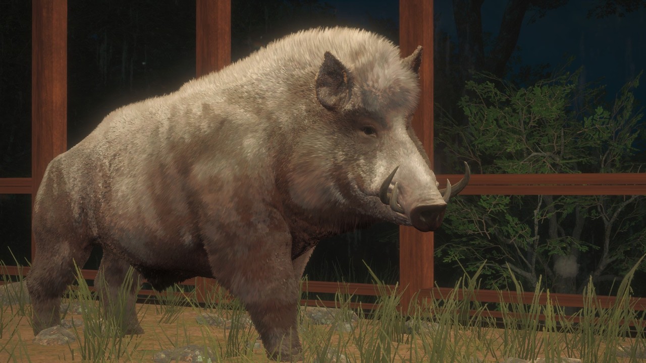 GREAT ONE Wild Boar #1 - The Hunter CotW