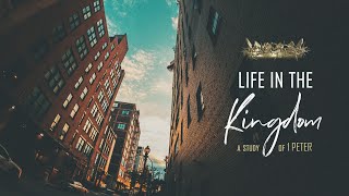 Life in the Kingdom: Born to Love