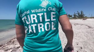 "Highlight of my life:" Turtle nesting season begins in SWFL
