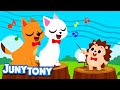 Fun Animal Choir | Animal Sounds Songs for Kids | Preschool Songs | JunyTony