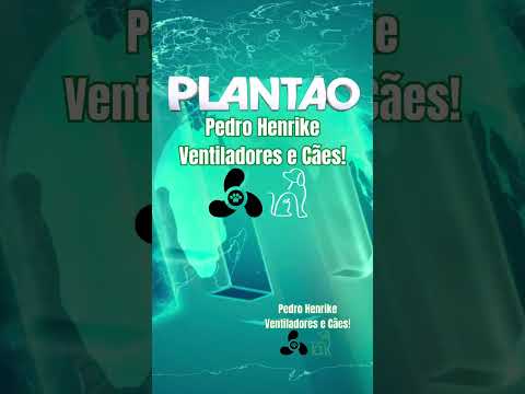 Notícia de última hora: Venti-Silva modelo antigo vai voltar?  #ventilador #fypシ゚viral
