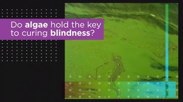 For the First Time, Optogenetic Therapy Partially Restores Patient’s Vision