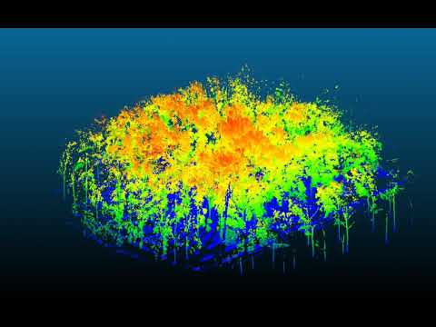 Individual tree segmentation from terrestrial laser scanner data