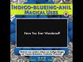 Indigo-Blueing-Anil Magical Uses