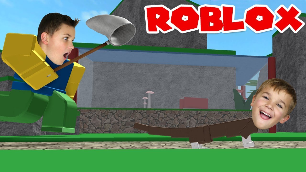 Pet catchers roblox codes