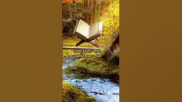 حالات واتساب قران كريم بصوت القارئ عمار الكاظمي