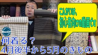 ■初心者向け 何着る？4月後半から5月のきもの  横浜元町/おべべほほほ