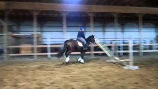 Benellis First Ever Full Course Of Jumps