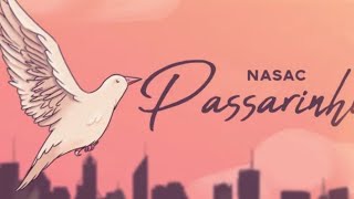 Vídeo de Passarinho
