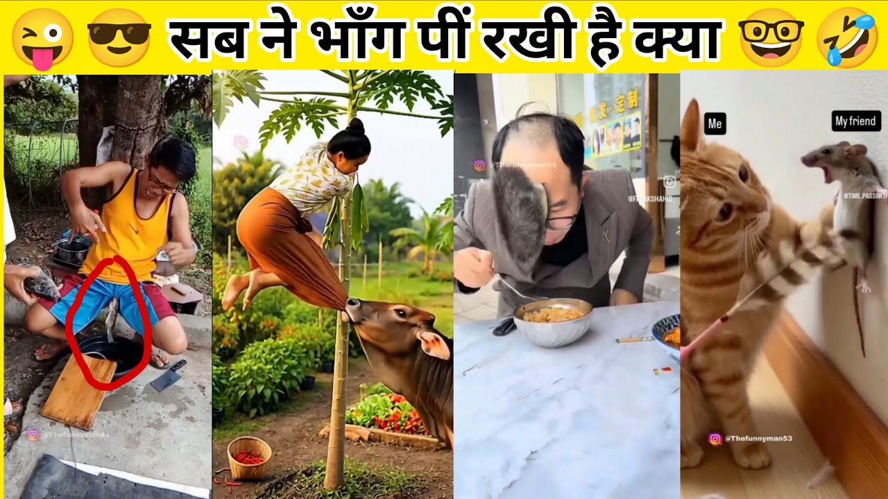 बस इन नमुनो को देखना बाकी था 🤓🤪😎, funny videos, try not to laugh, funny fails comedy Videos 