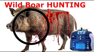 Wildschweinjagt | Wild Boar Target - Jäger RC Wildschwein, bauen, wild hunting