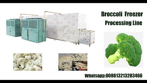 broccoli freezing machine,IQF freezer processing line iqf freezer fruit vegetable freezing machine