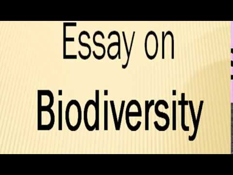 descriptive essay on biodiversity