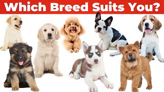 Top 15 Best Dog Breeds: Finding the Right One for You | Best Breeds for First time Dog Owners by Animalistic 4K 118 views 1 year ago 12 minutes, 4 seconds