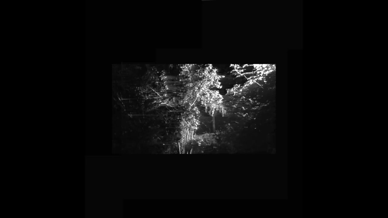 Kirril - 09/25 - 12/25  - IV