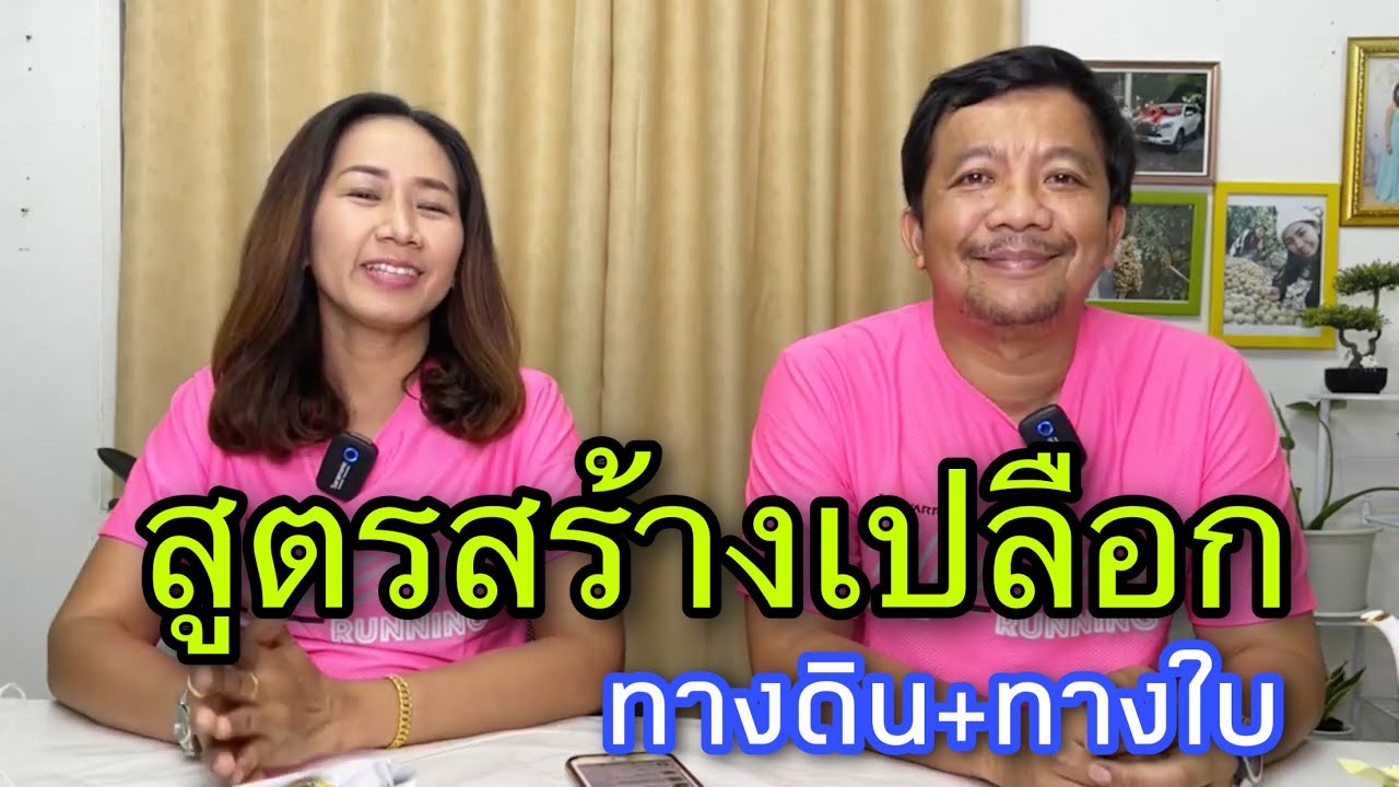 สูตรสร้างเปลือกลำไยด้วยสูตรเรา