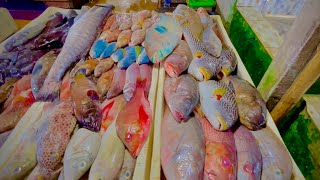 SEAFOOD MARKET TOUR IN BALI, INDONESIA - INSANE STREET SEAFOOD FESTIVAL, LOBSTERS, CRABS, FISHES…