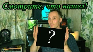 Угадайте кого выбросили на улицу, а я подобрал?!!